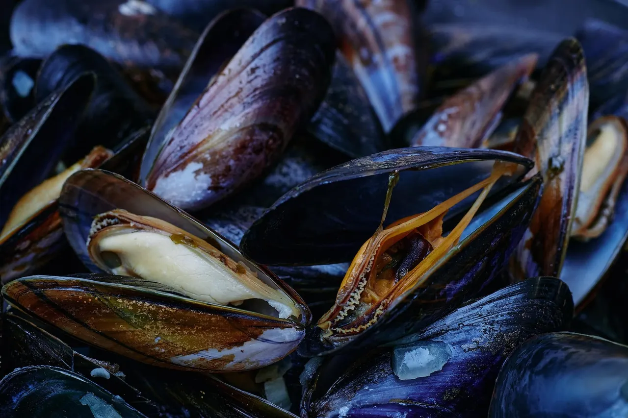 Les épices méconnues pour donner un coup de pep’s à la cuisine française